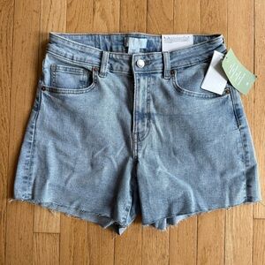 H&M Light Blue Jean Shorts
